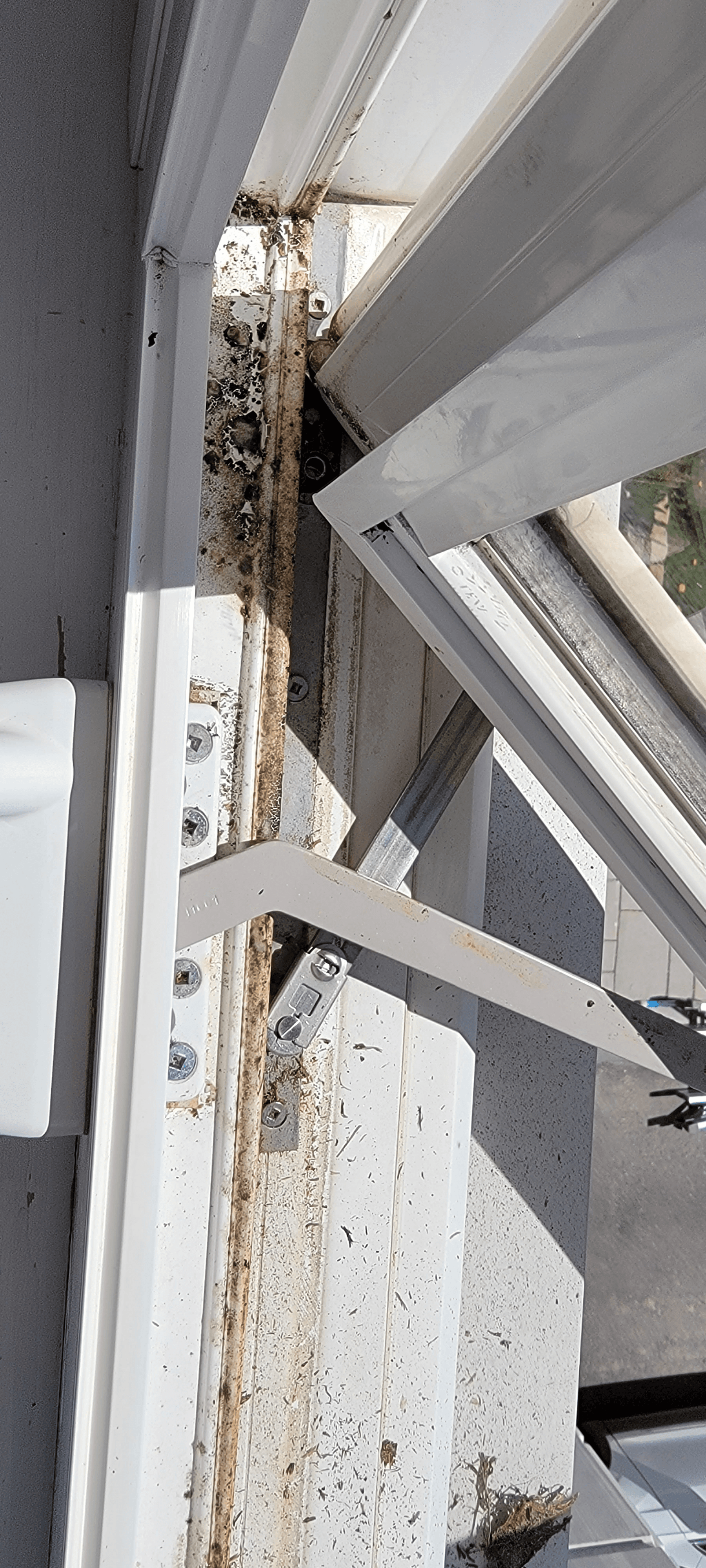 Window cleaning project - May 2023