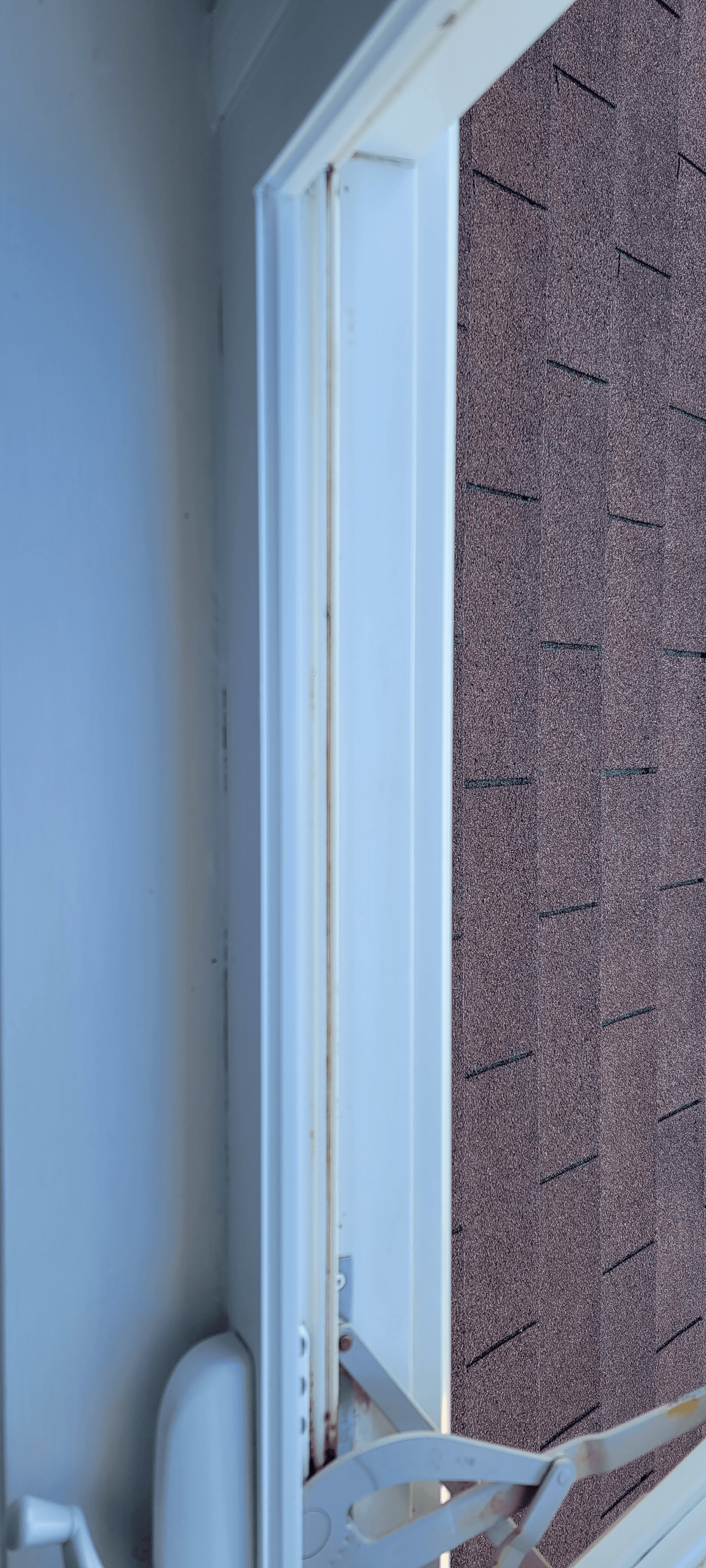 Professional window cleaning