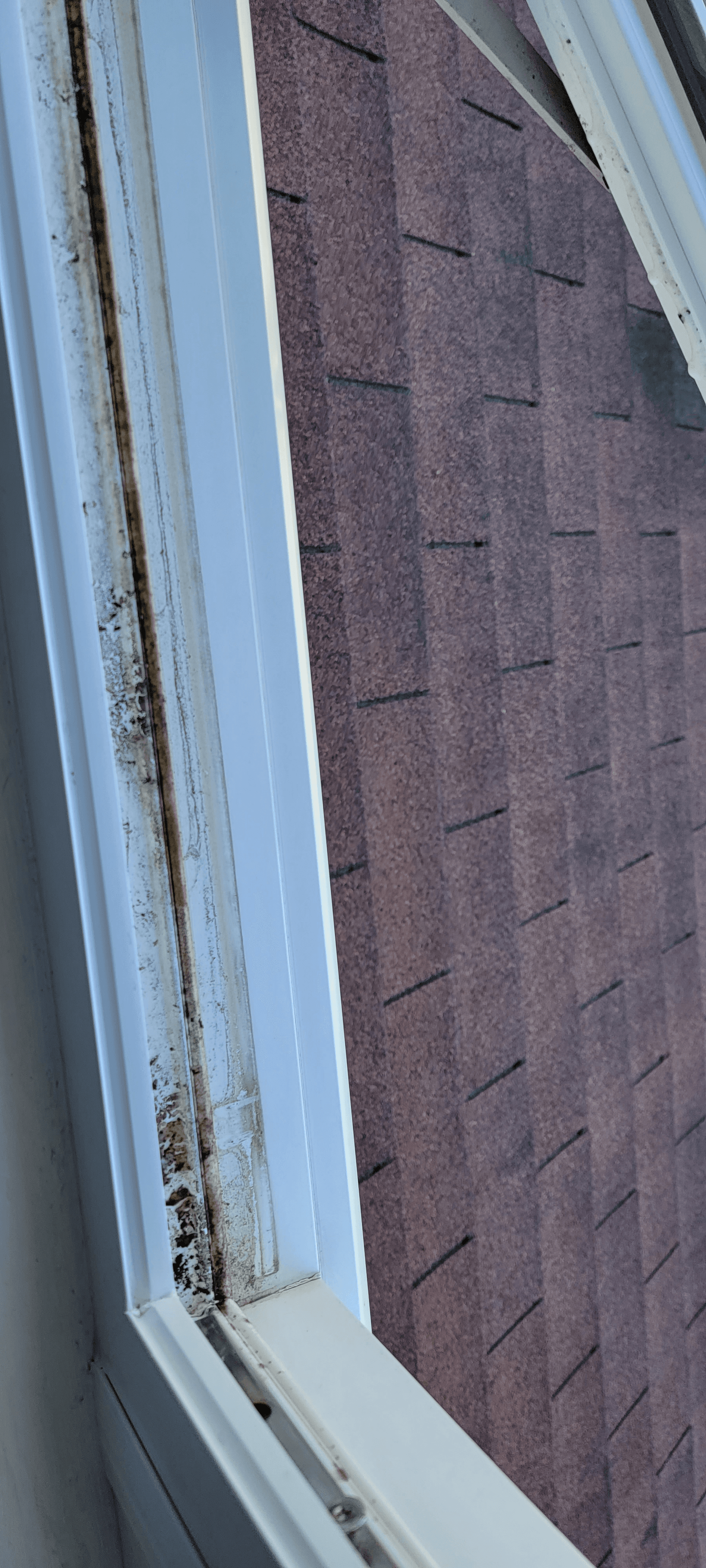 Window cleaning completion